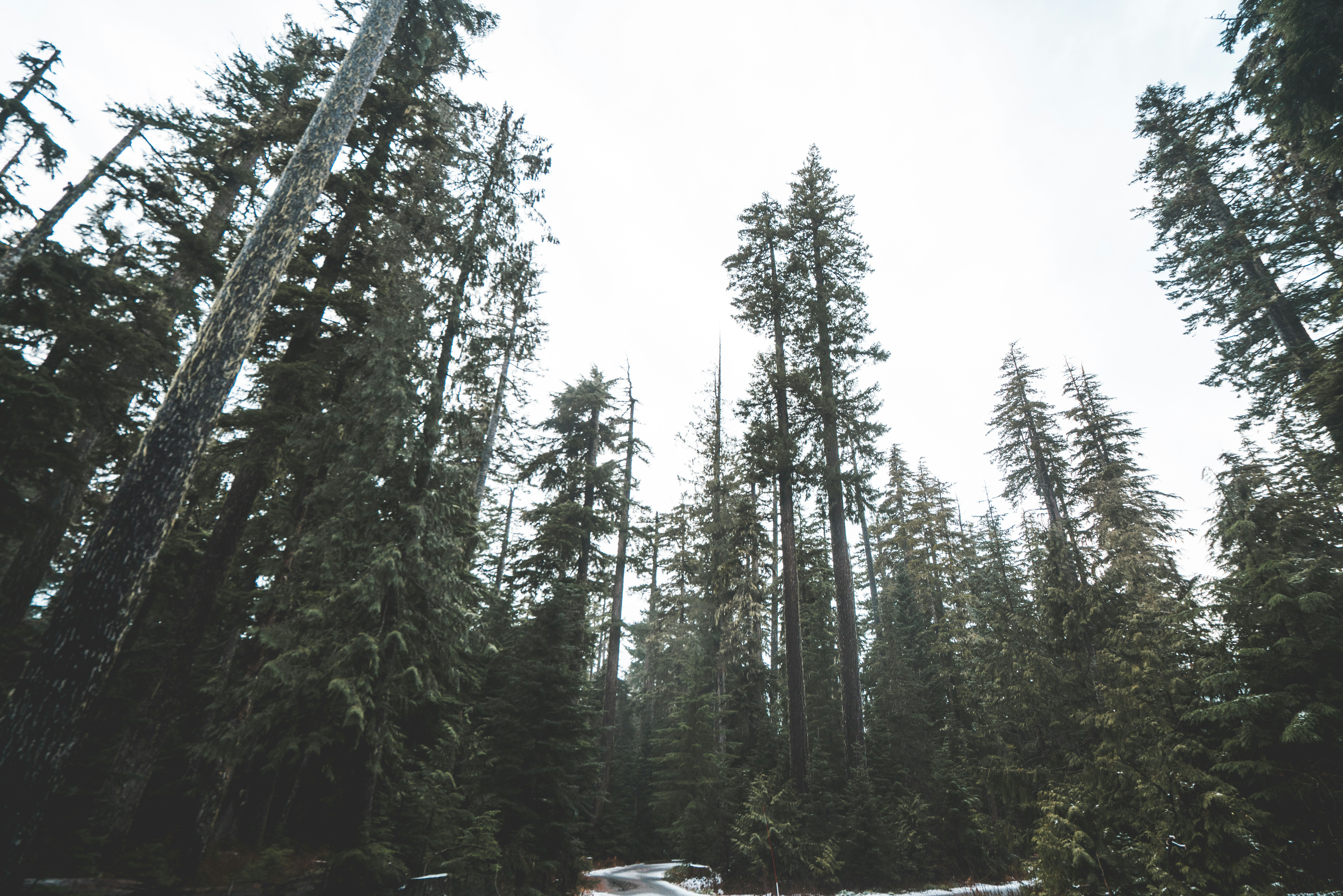 Photo by cameronstewart