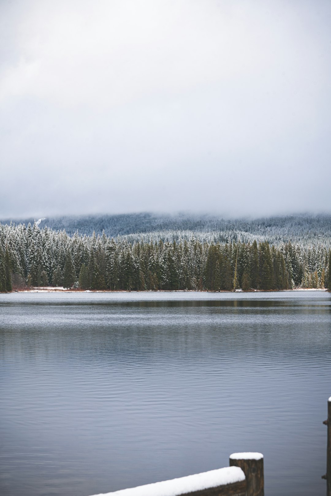 lake in forest