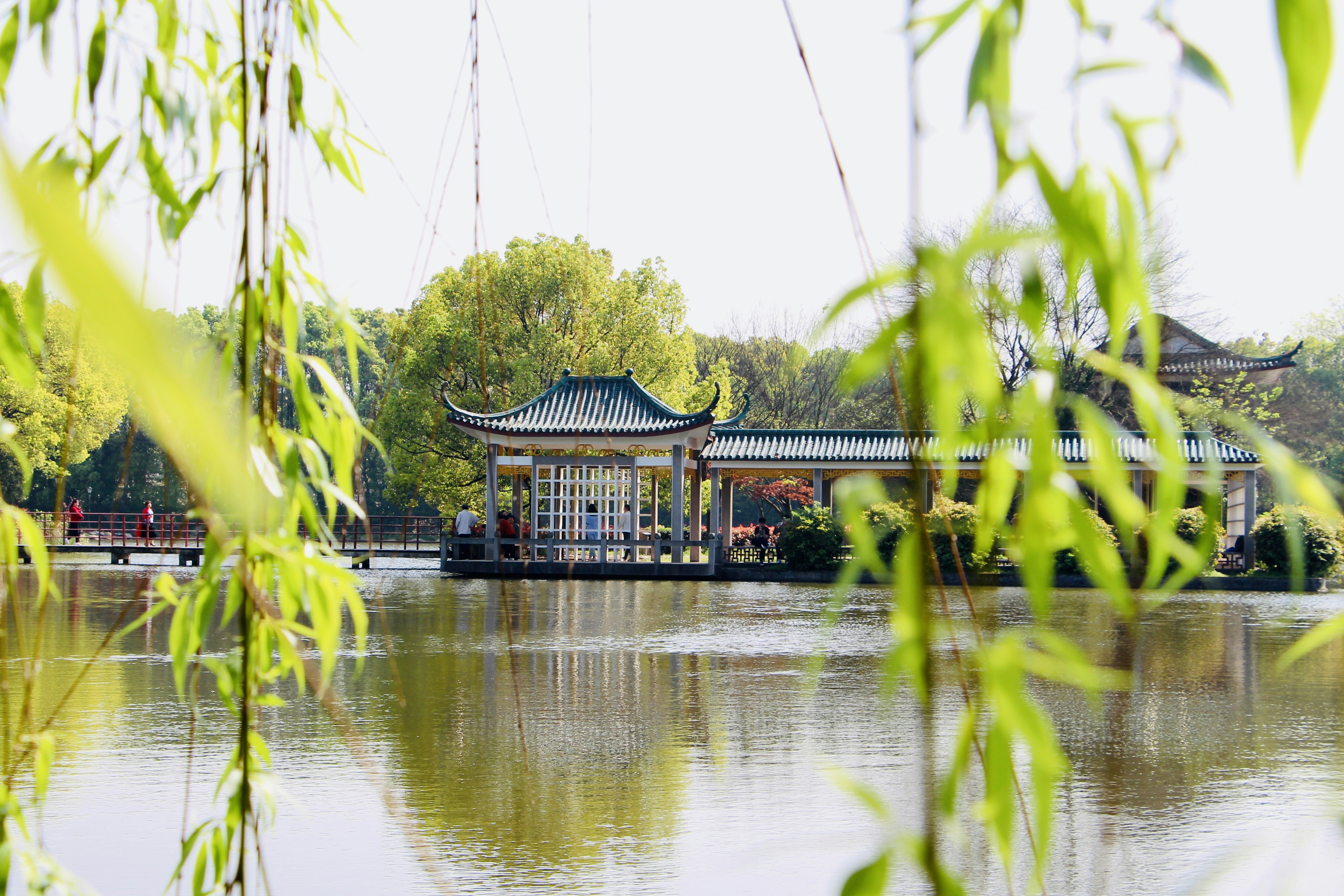 Applied problems of motion of mechanical systems under action of power loads Image