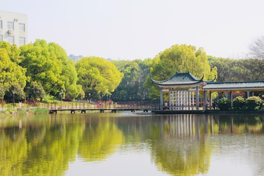 gray concrete shed beside body of water in Hunan University of Science and Technology China