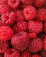 macro photography of raspberry fruits