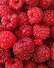 macro photography of raspberry fruits