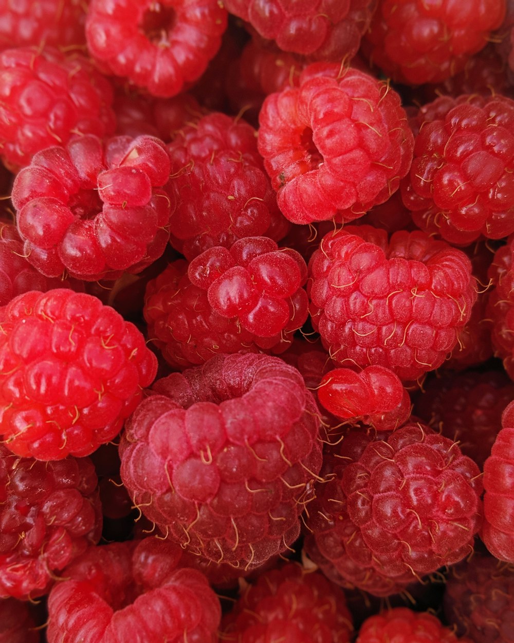 macro photography of raspberry fruits