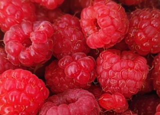 macro photography of raspberry fruits
