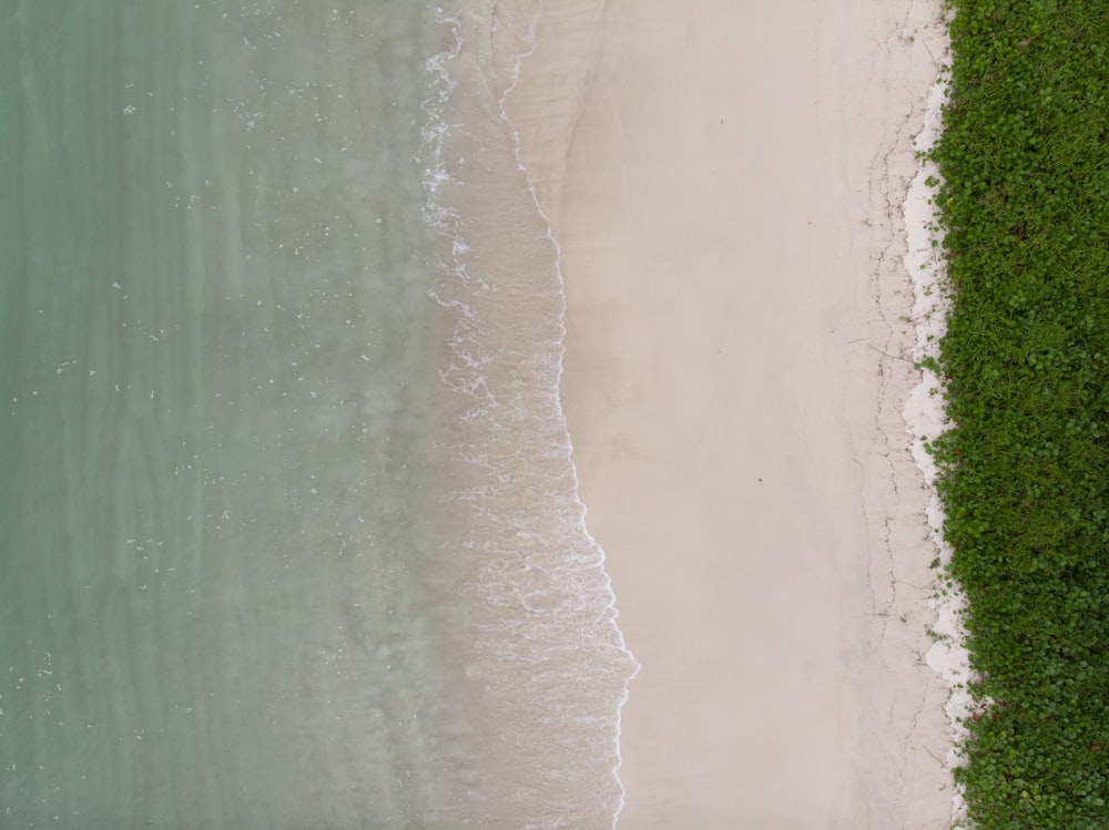 aerial photography of body of water during daytime