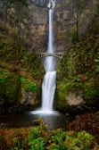waterfall in forest