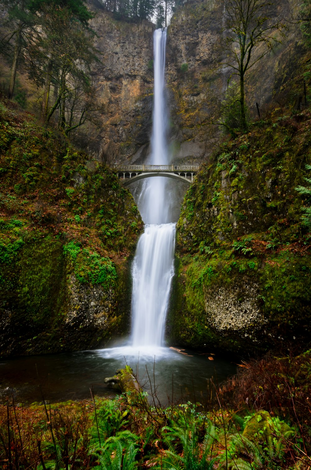 cascade dans la forêt