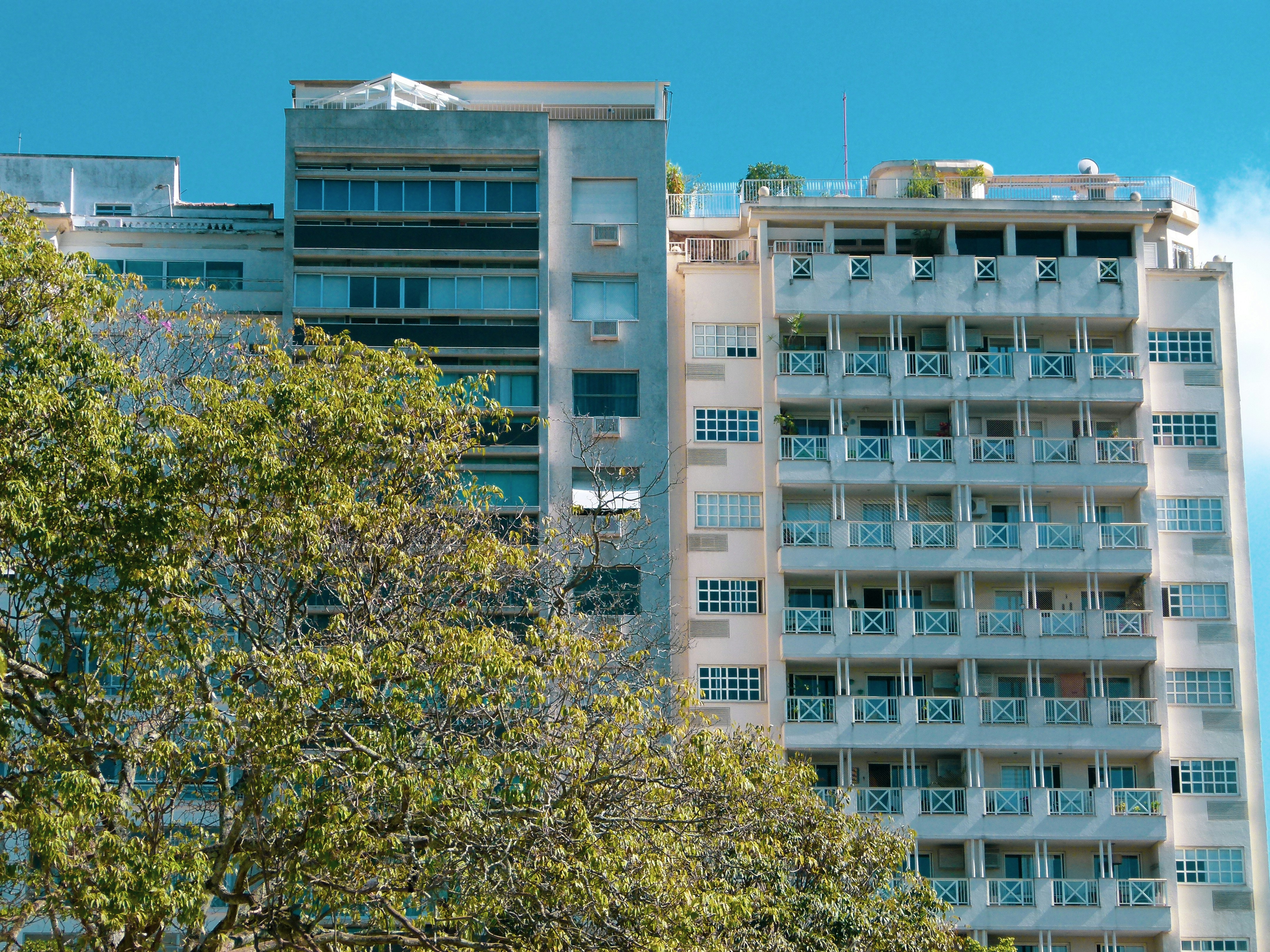 Photo by luizagiannelli