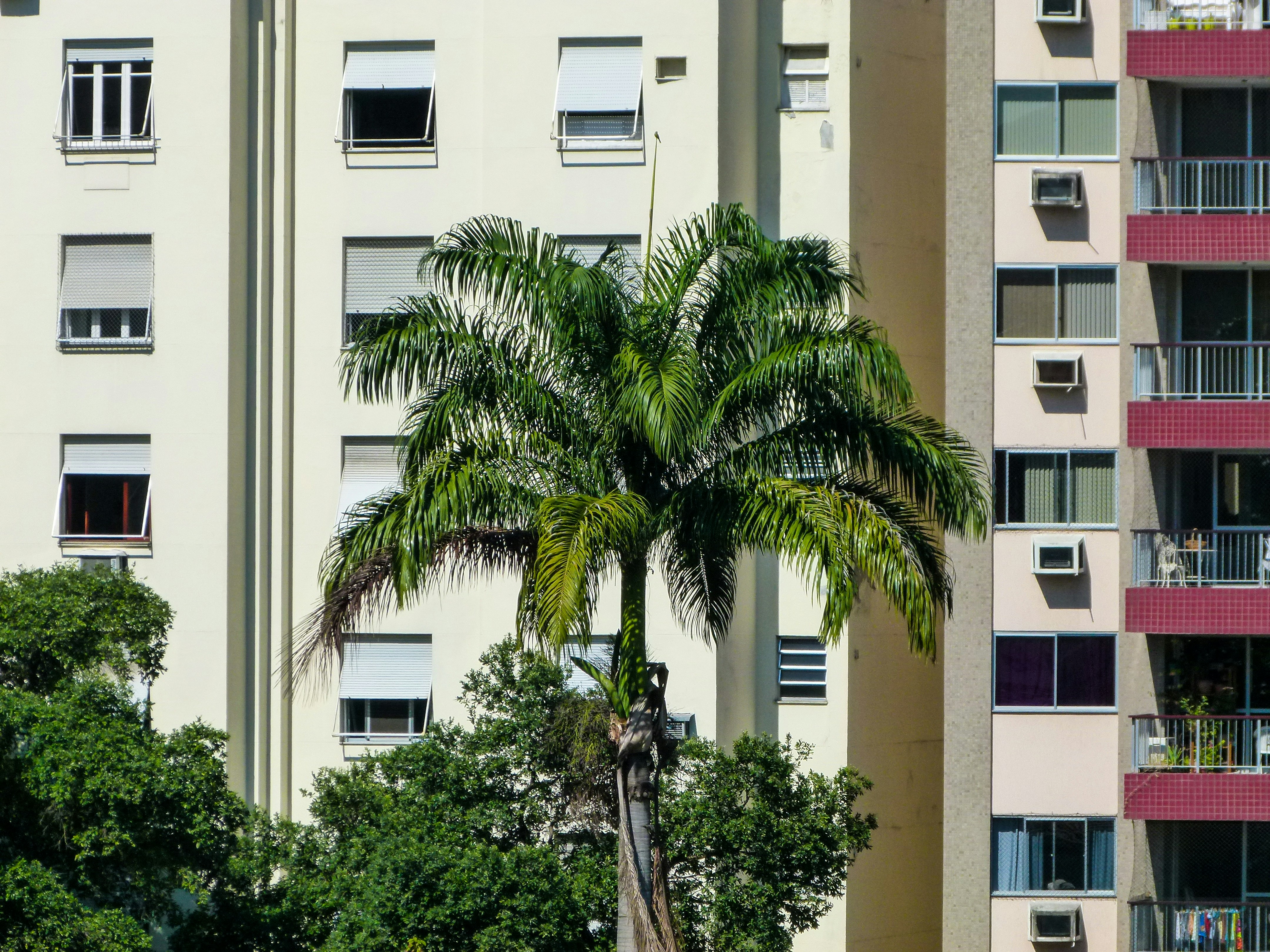 Photo by luizagiannelli