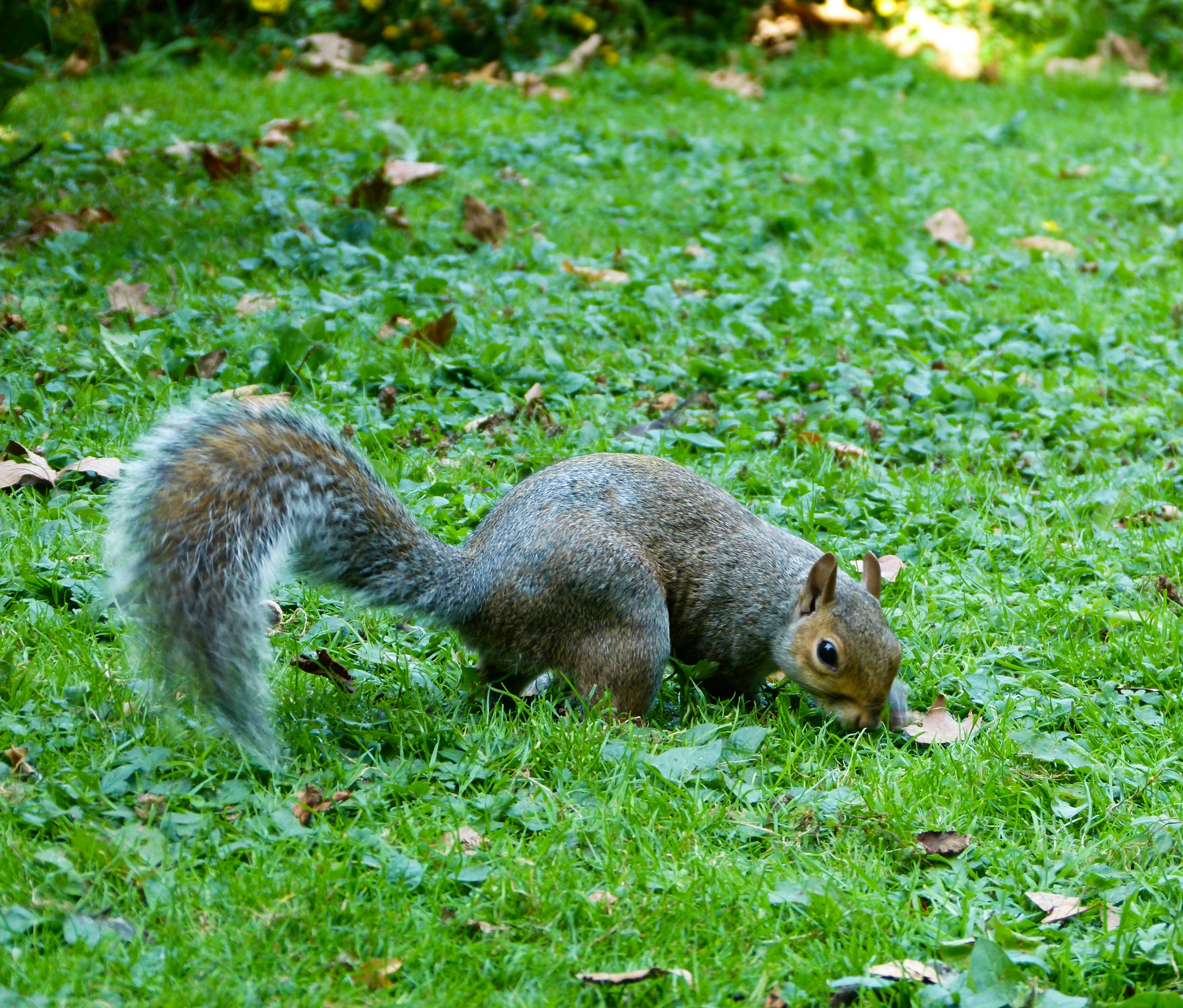 Photo by luizagiannelli