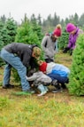 people planting r