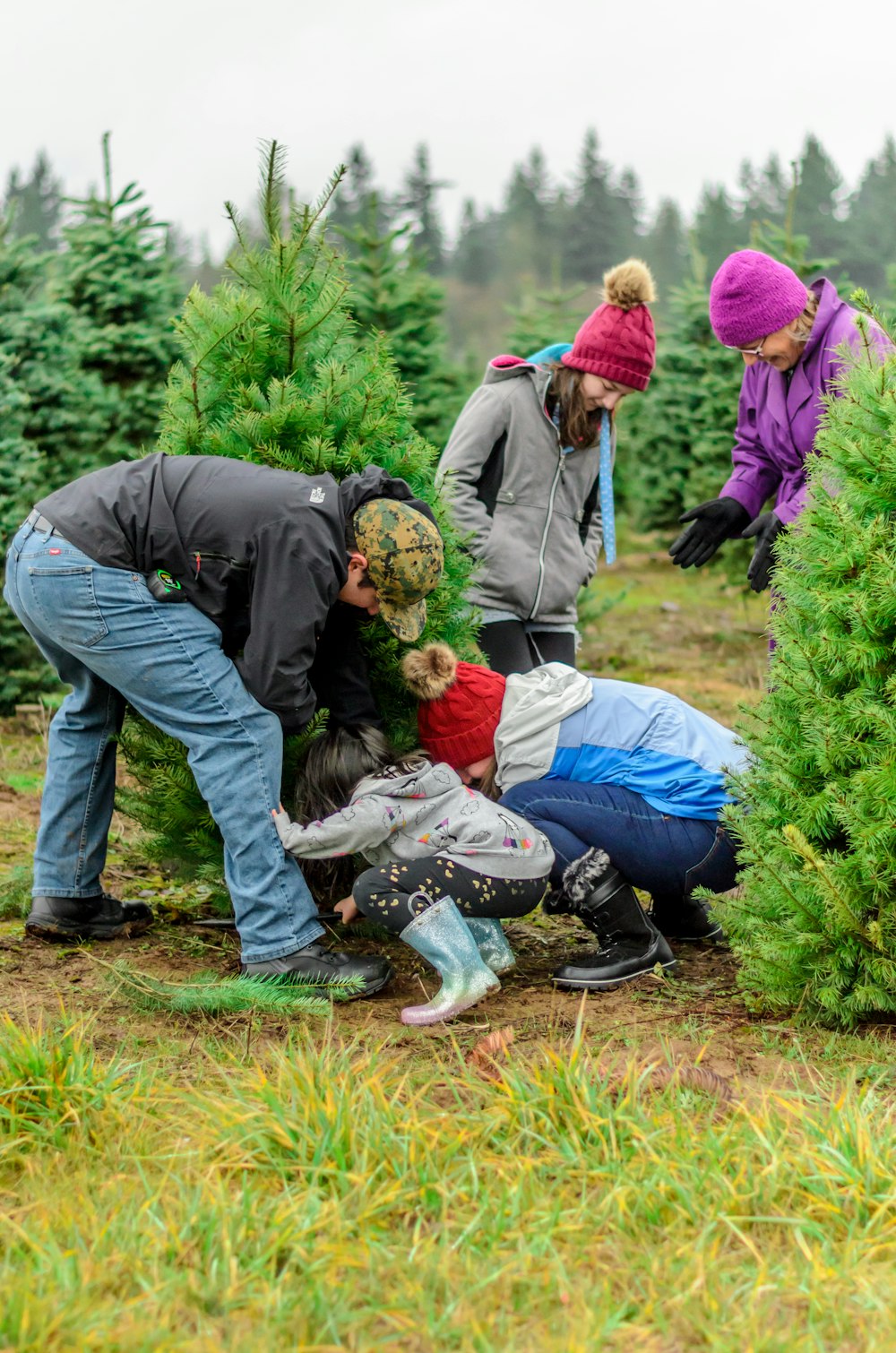 people planting r