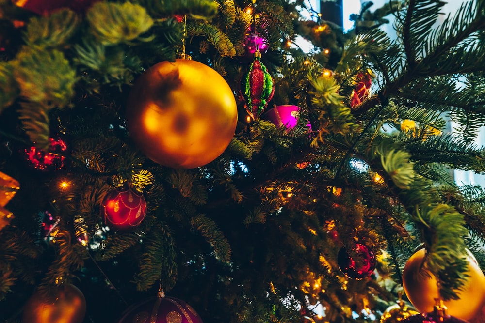 baubles on green Christmas tree