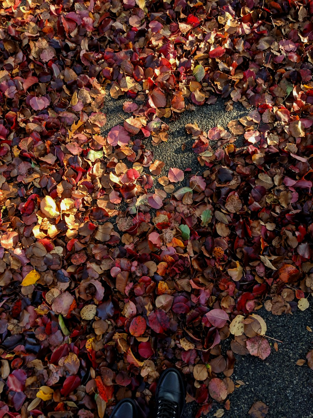 pink and brown petals on gray surface