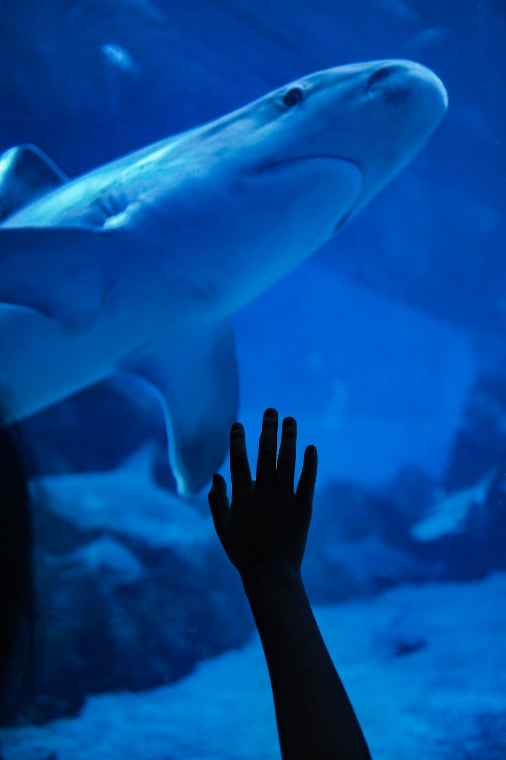 750 aquarium pictures hd download