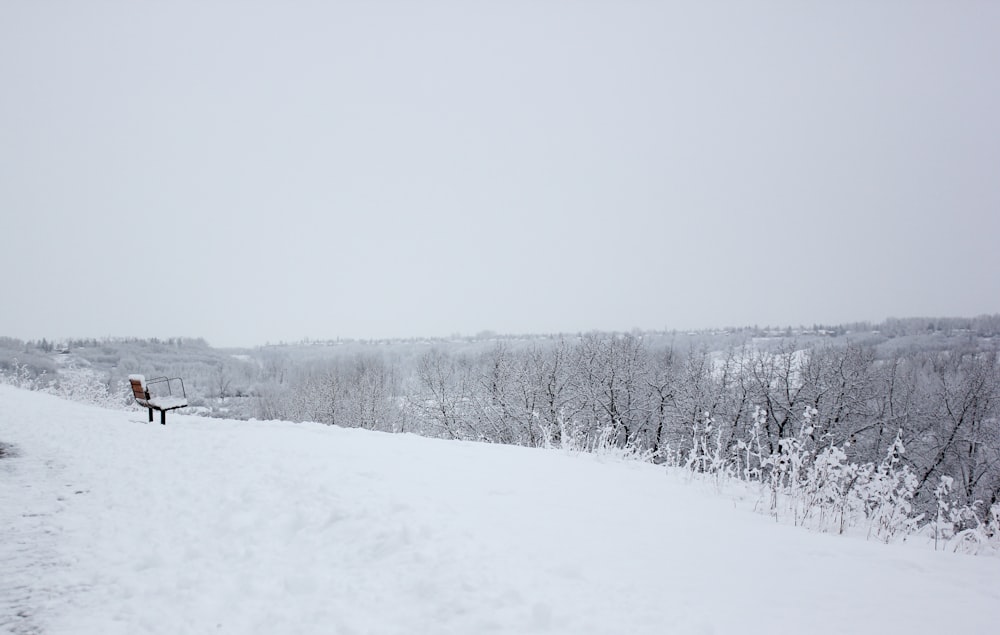 grayscale photography of field and snow covered with snow