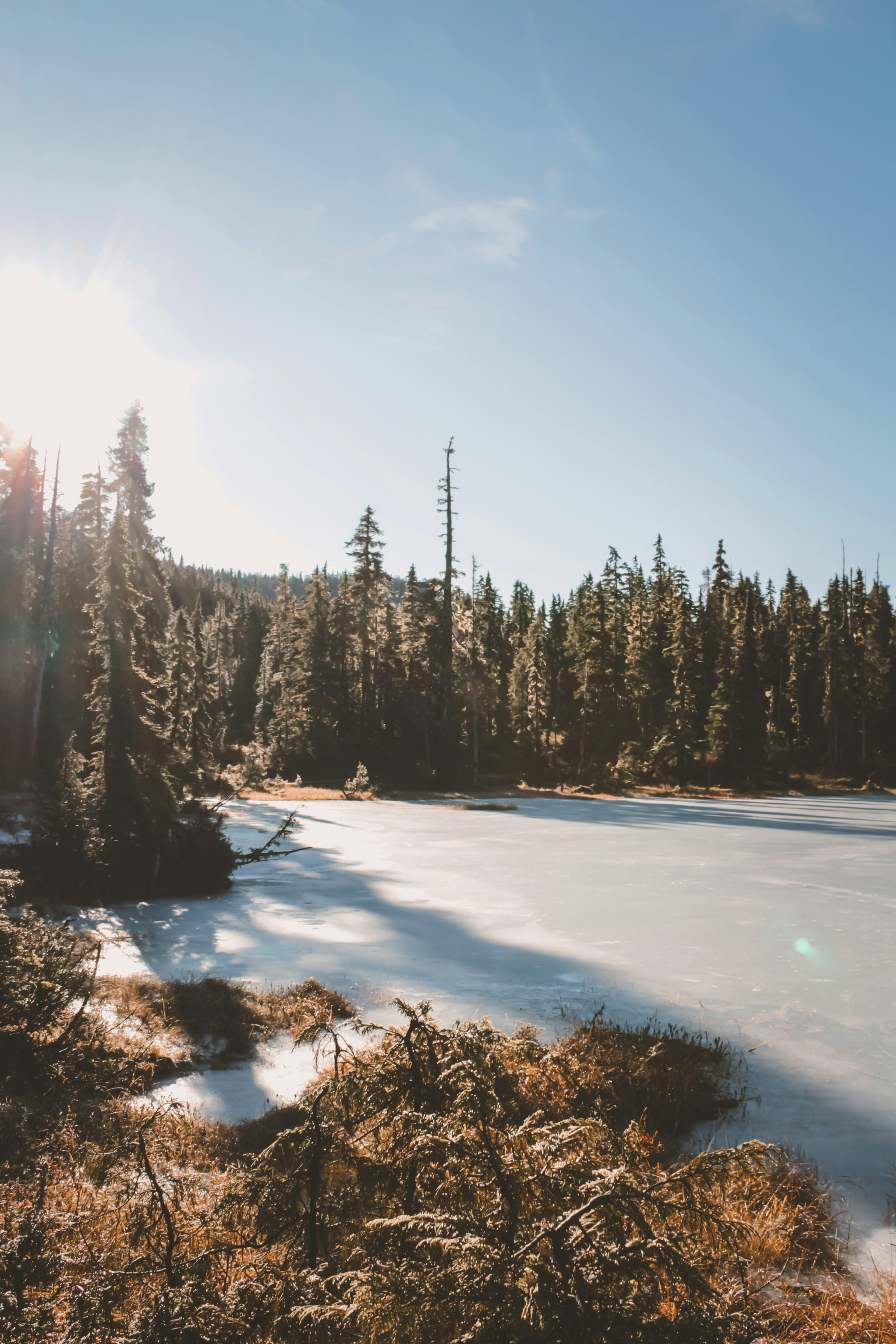 Photo by colefreeman