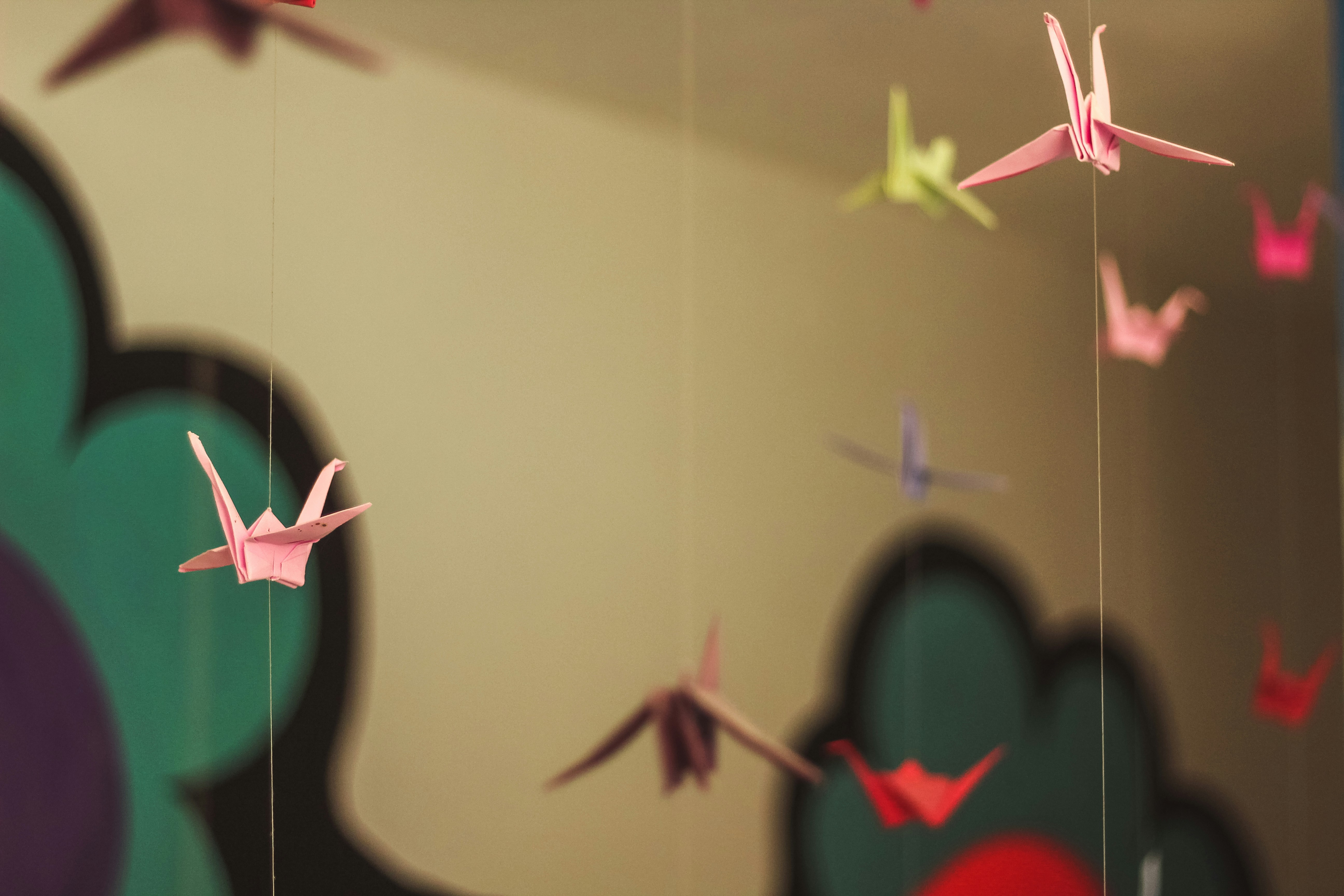 Photo by igorrodrigues