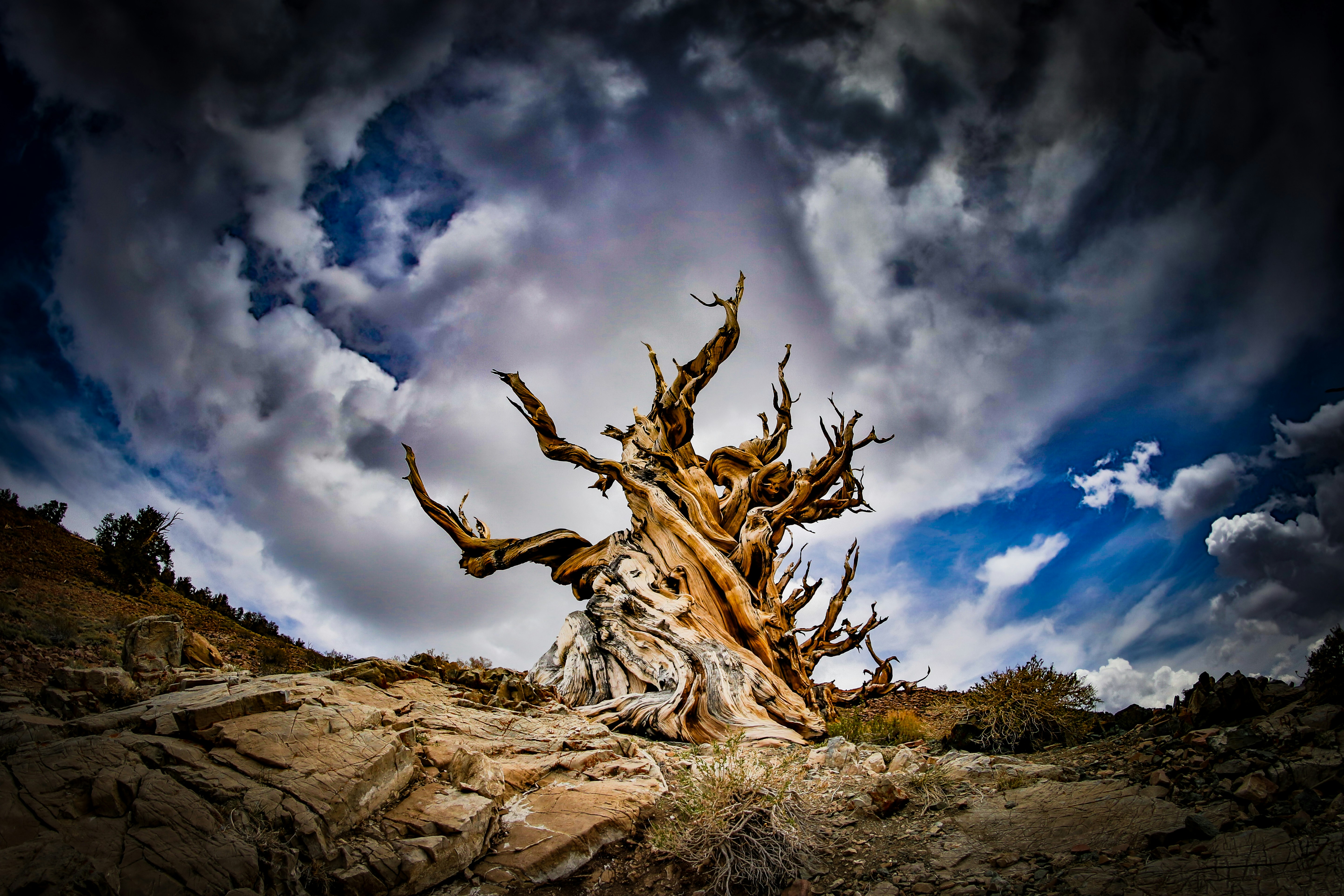 Photo by rs2photography