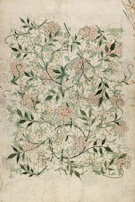 An elegant botanical print showcasing delicate leaves and flowers in soft tones.