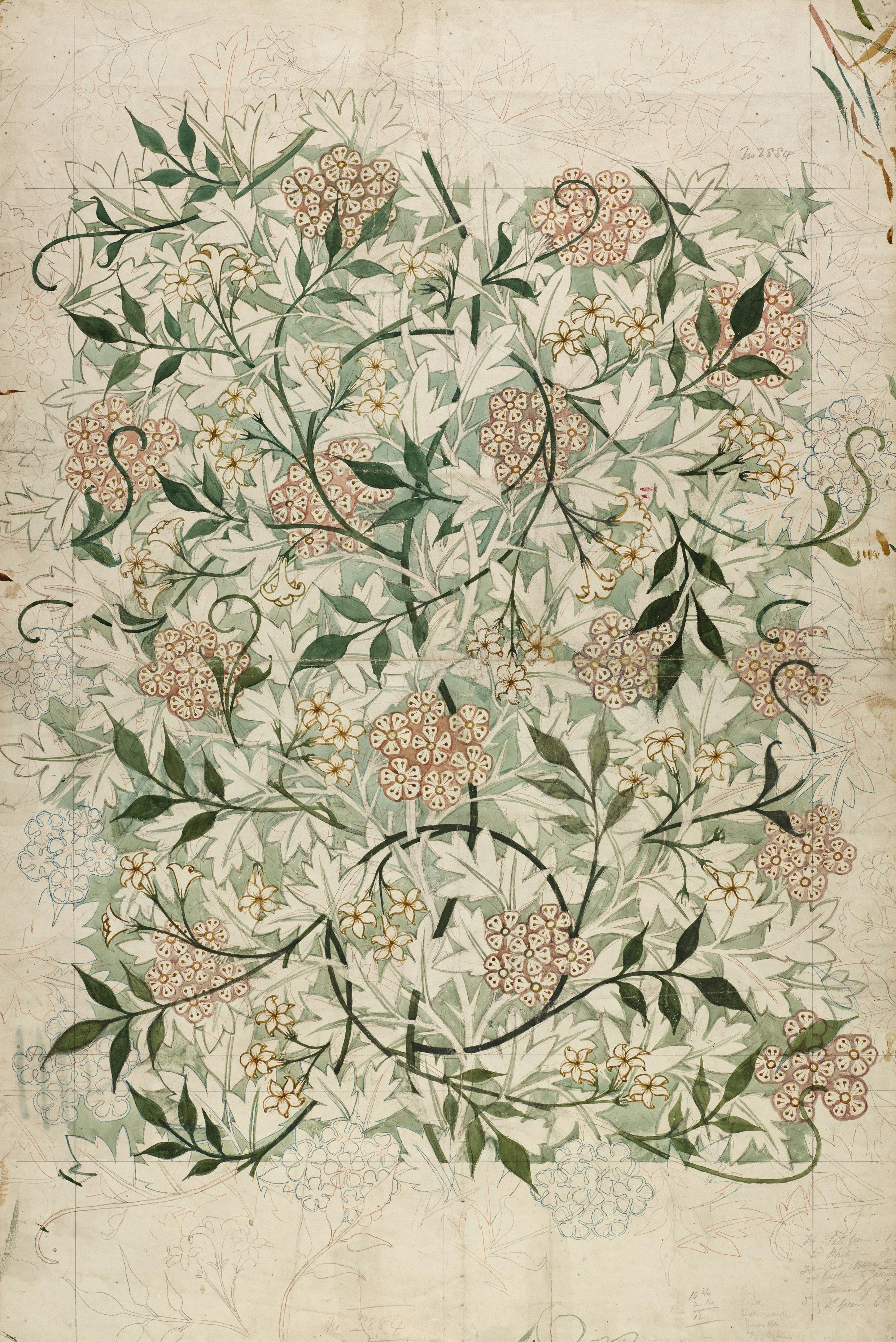 Jasmine. Wallpaper design with background of hawthorn leaves, blossom and branches with a scrolling tracery of jasmine. Green version. Design by William Morris