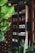 A wooden storage cabinet filled with a variety of jars, boxes, and containers arranged on shelves. Plants with large green leaves are placed in front and around the cabinet, adding to the natural and rustic feel.