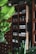 A wooden storage cabinet filled with a variety of jars, boxes, and containers arranged on shelves. Plants with large green leaves are placed in front and around the cabinet, adding to the natural and rustic feel.