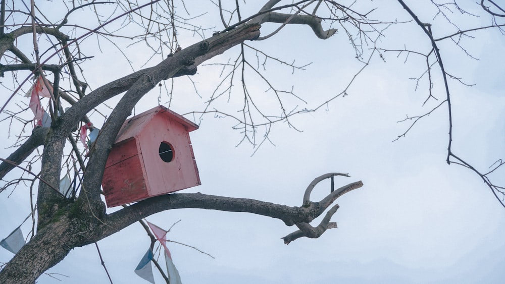 pink birdhouse on tree