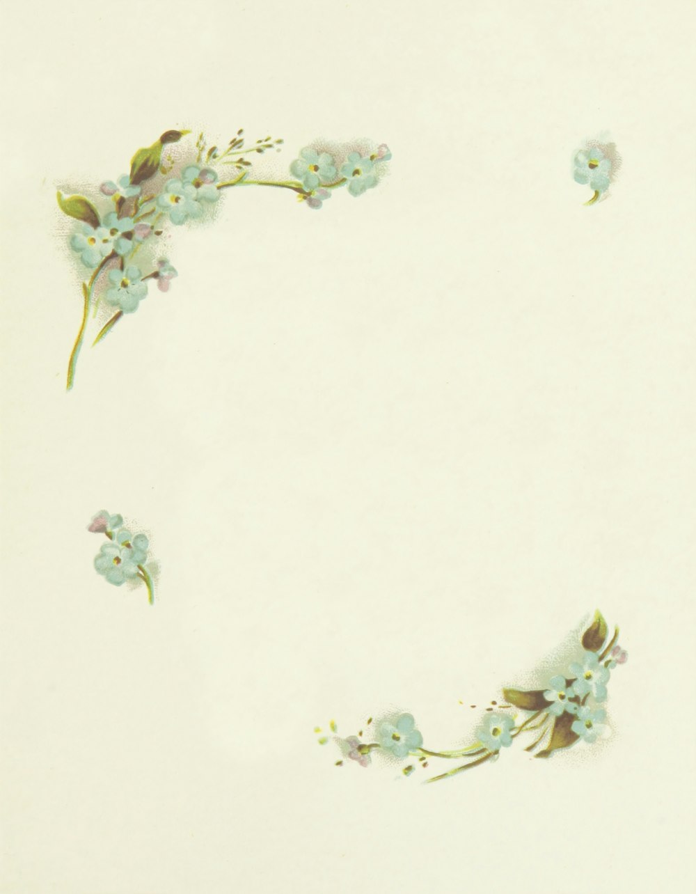 白い花のイラストの写真 Unsplashで見つける広告の無料写真