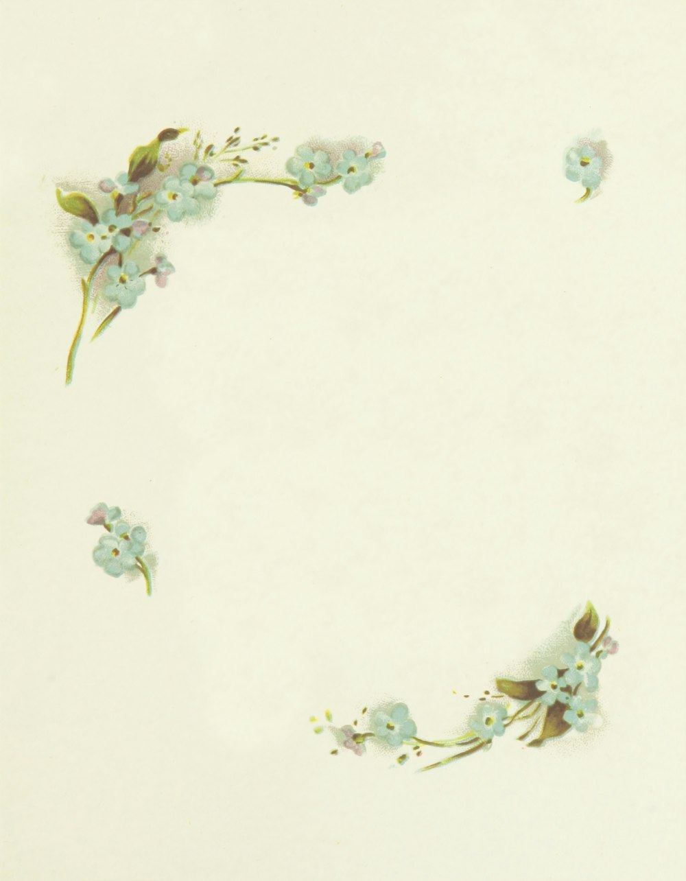 white flowers illustration