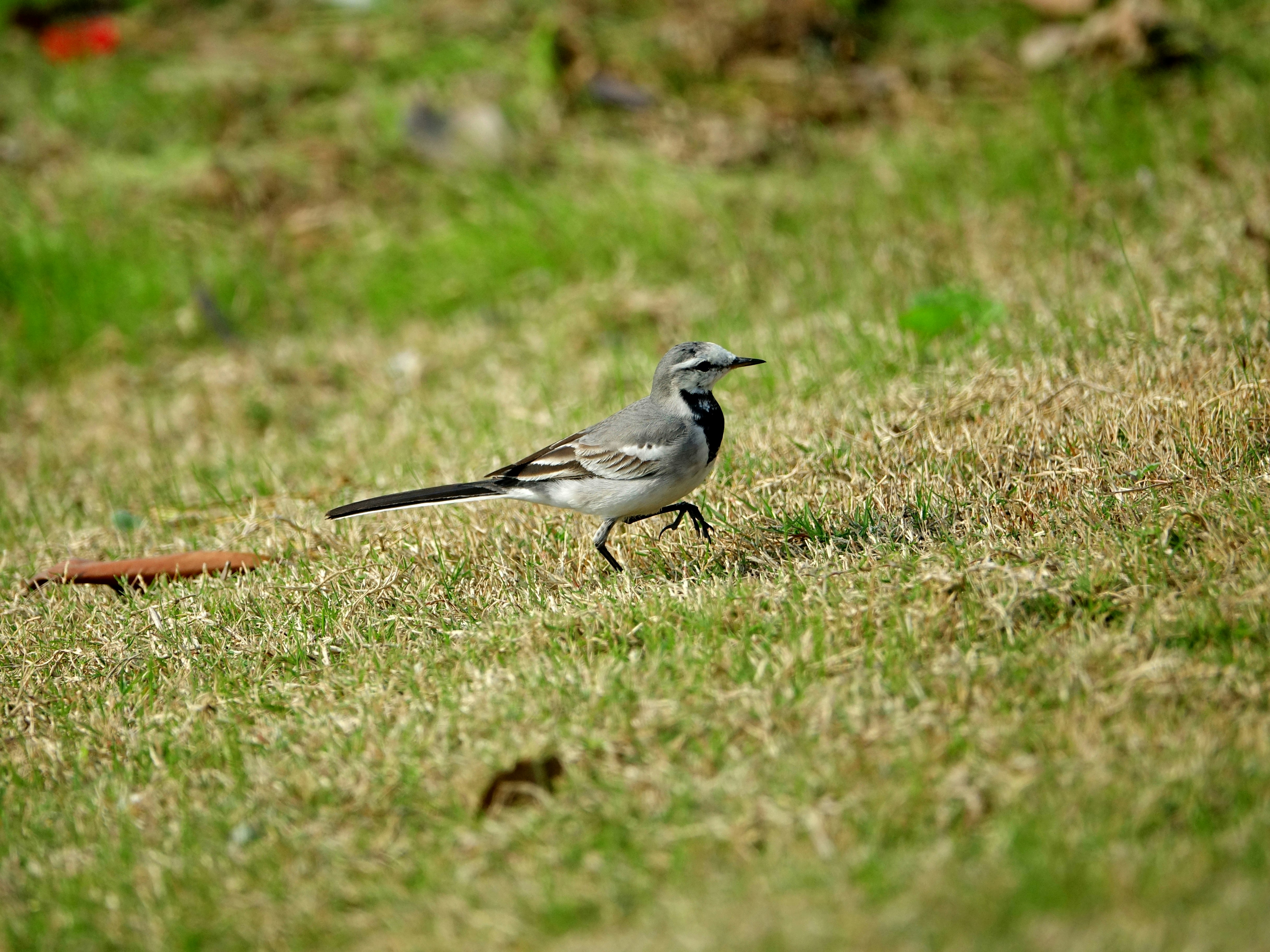 Photo by cloudveilczjx