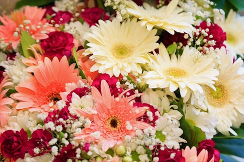 A vibrant bouquet of flowers featuring a mix of colors and varieties. The arrangement includes large, light yellow and pink gerberas, surrounded by deep red roses and smaller white blossoms. Sprigs of delicate baby's breath add a touch of elegance, while rich green foliage provides contrast and depth.