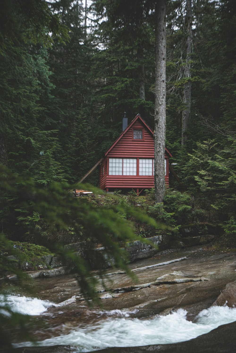 red house surrounded by trees