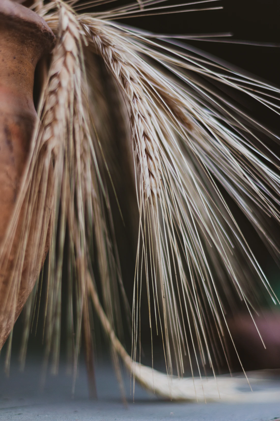 Wheat grains representing raw-material selection