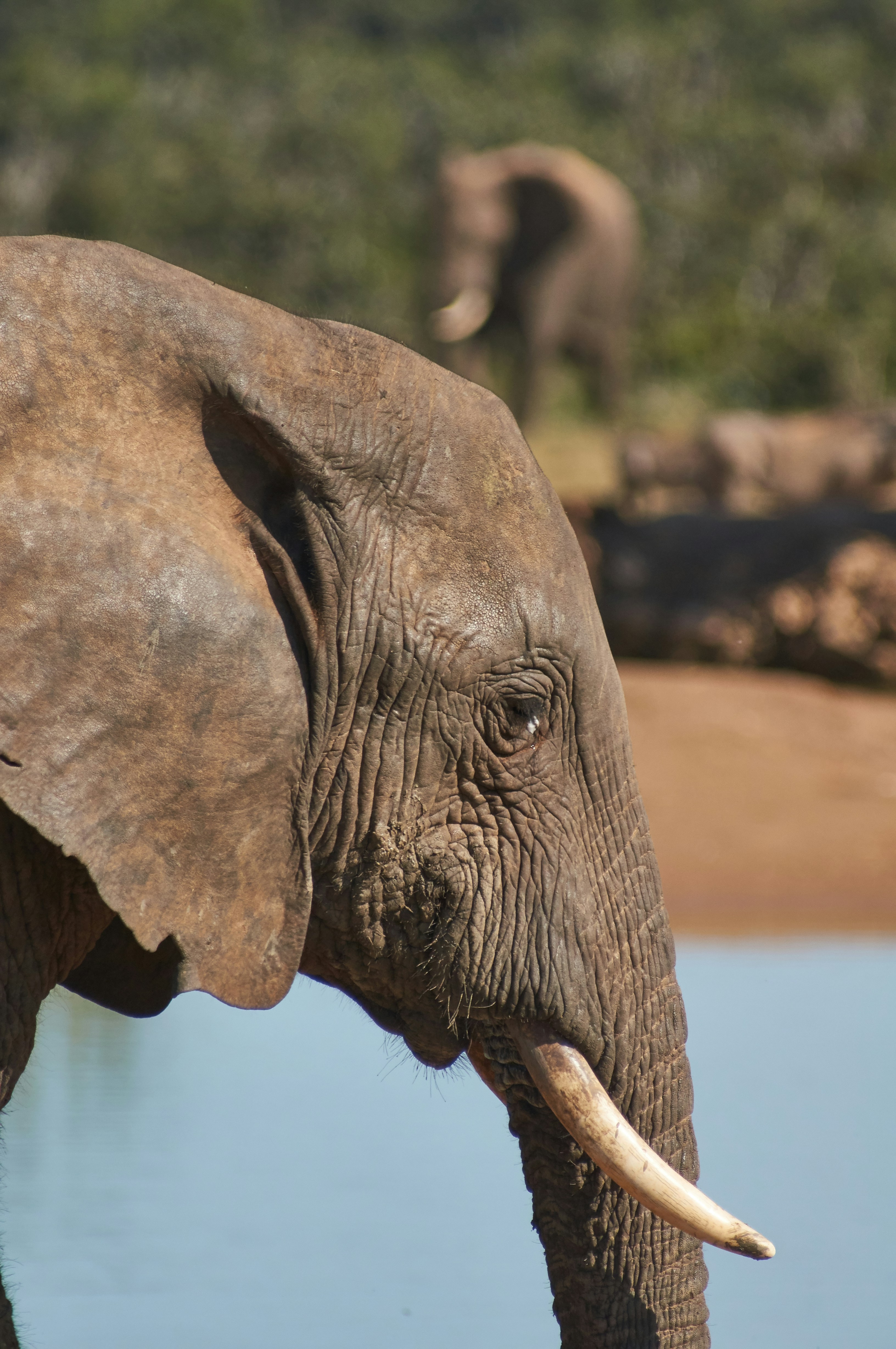 Photo by wolfgang_hasselmann