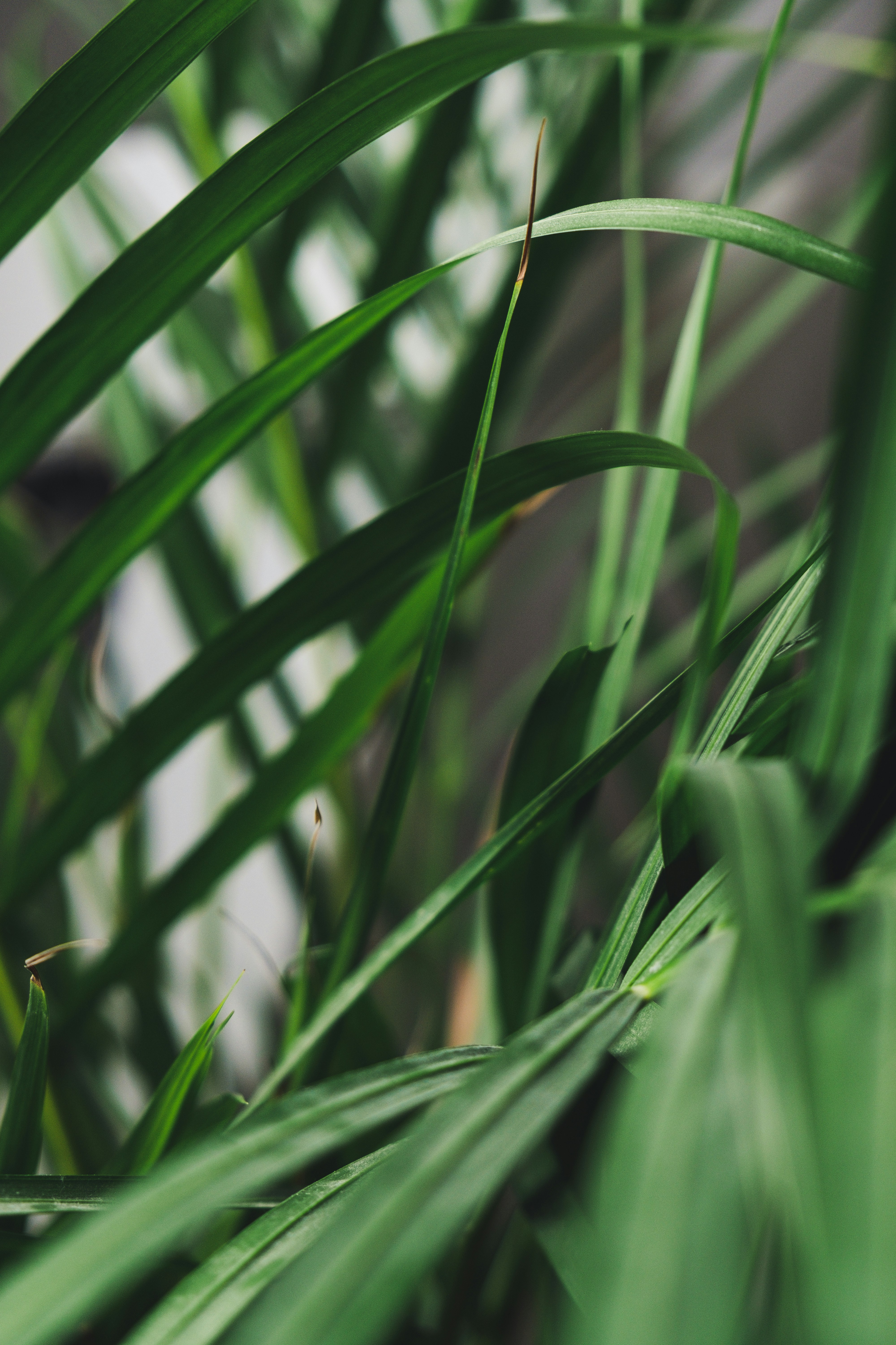 Photo by moritz_photography