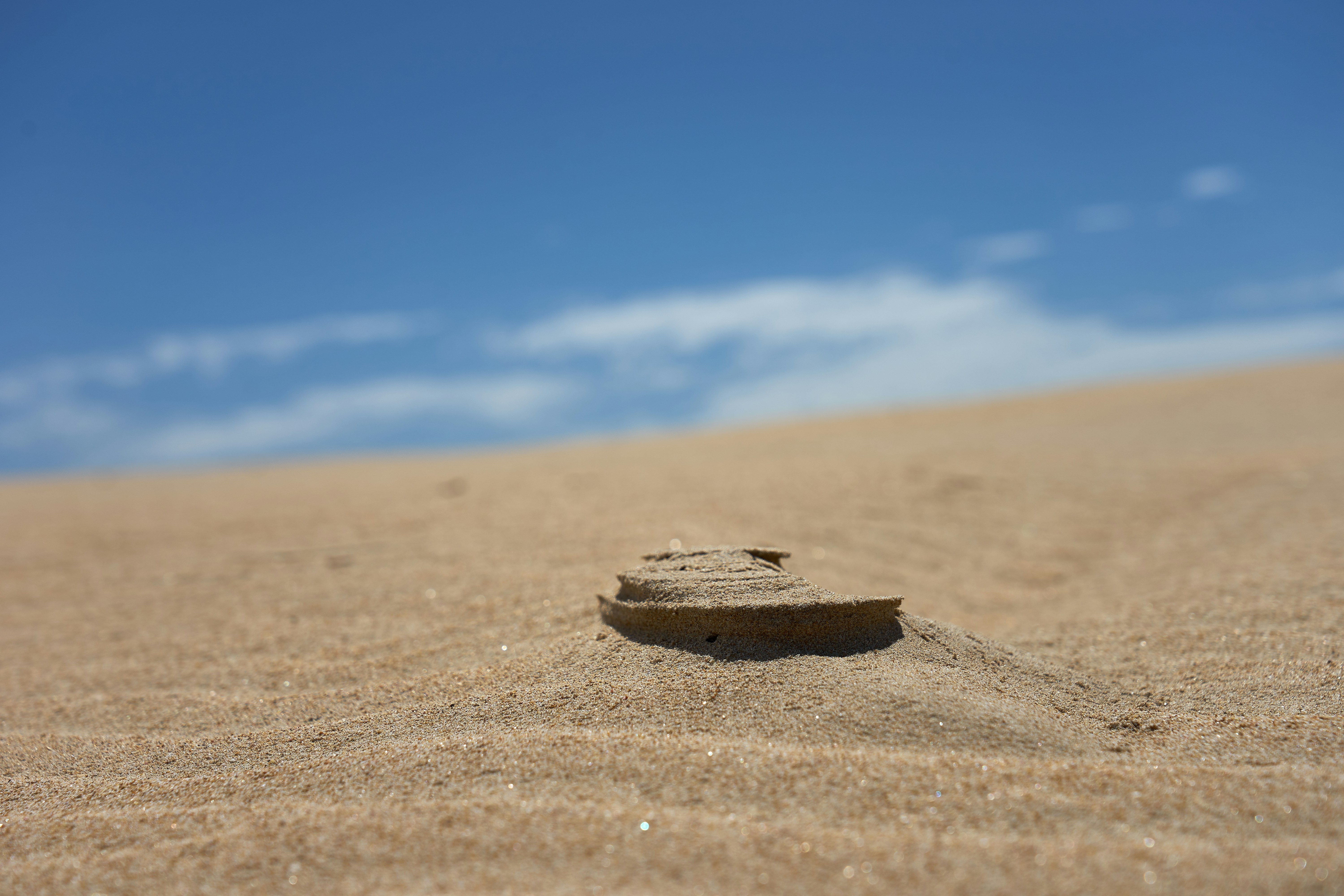 Photo by wolfgang_hasselmann