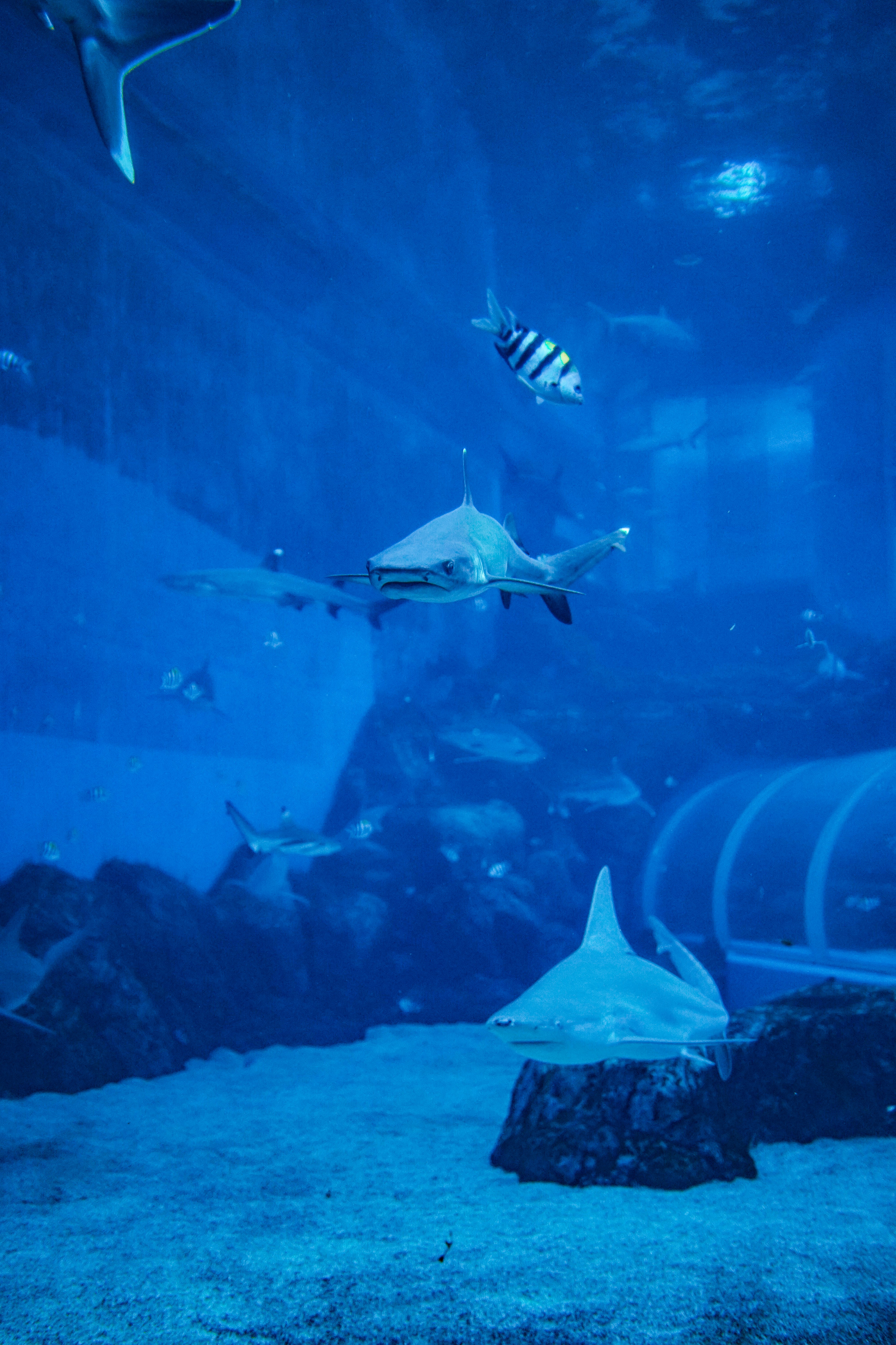 Photo by eugeniaclara