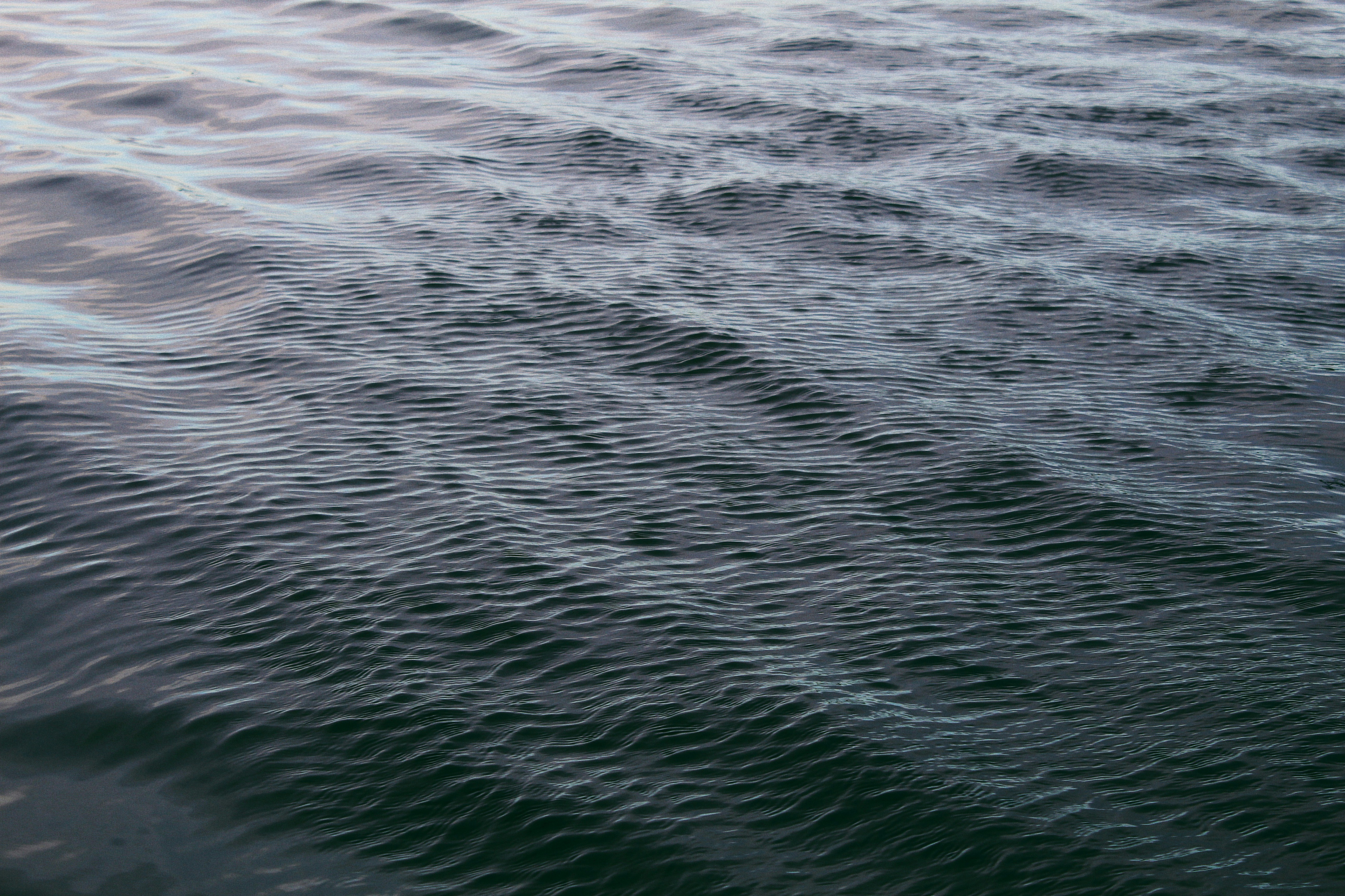 Photo by jecrisparfois