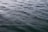 Rippling water surface with gentle waves creating a textured pattern across the expanse.