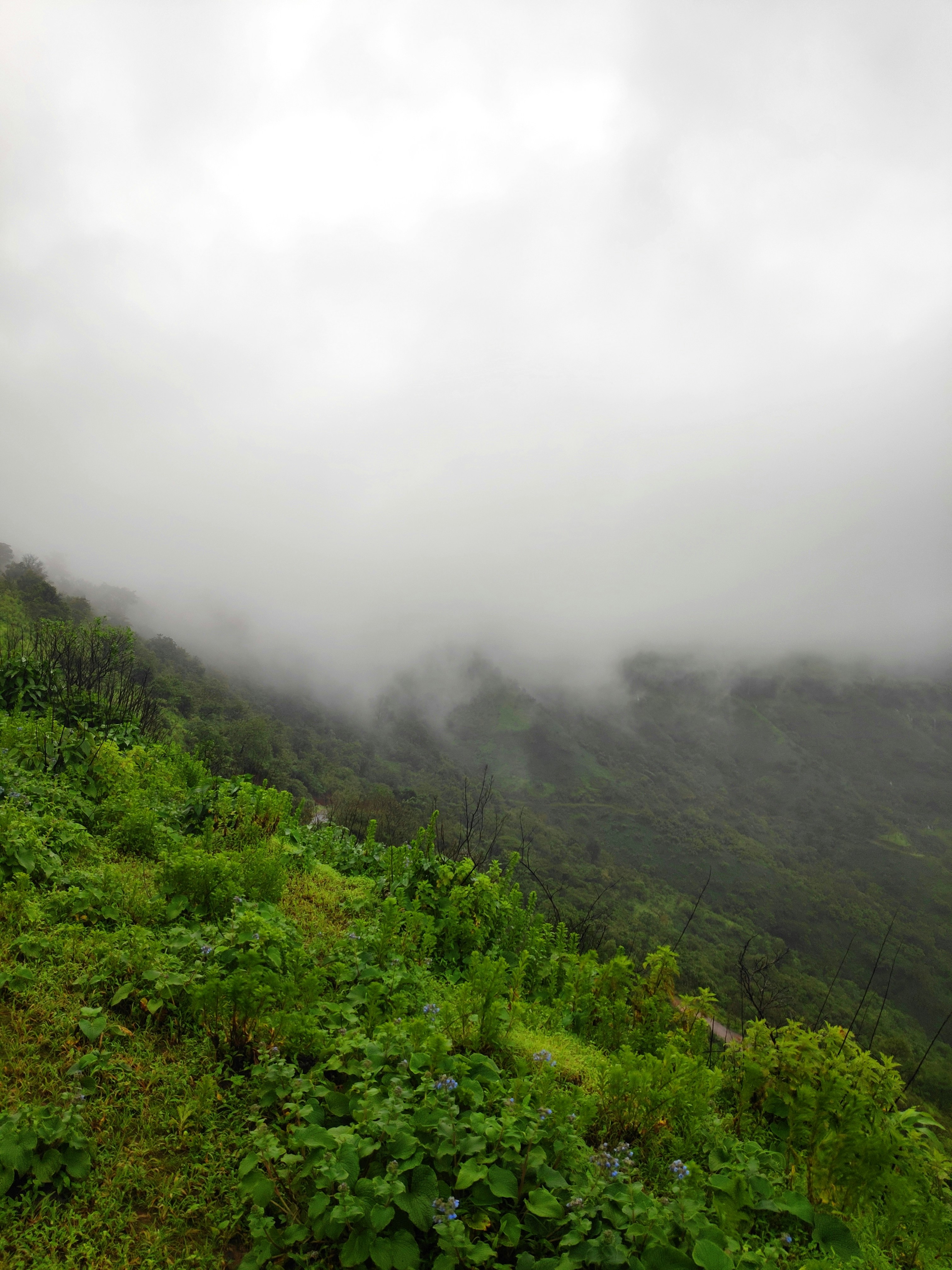 Photo by gauravkukade