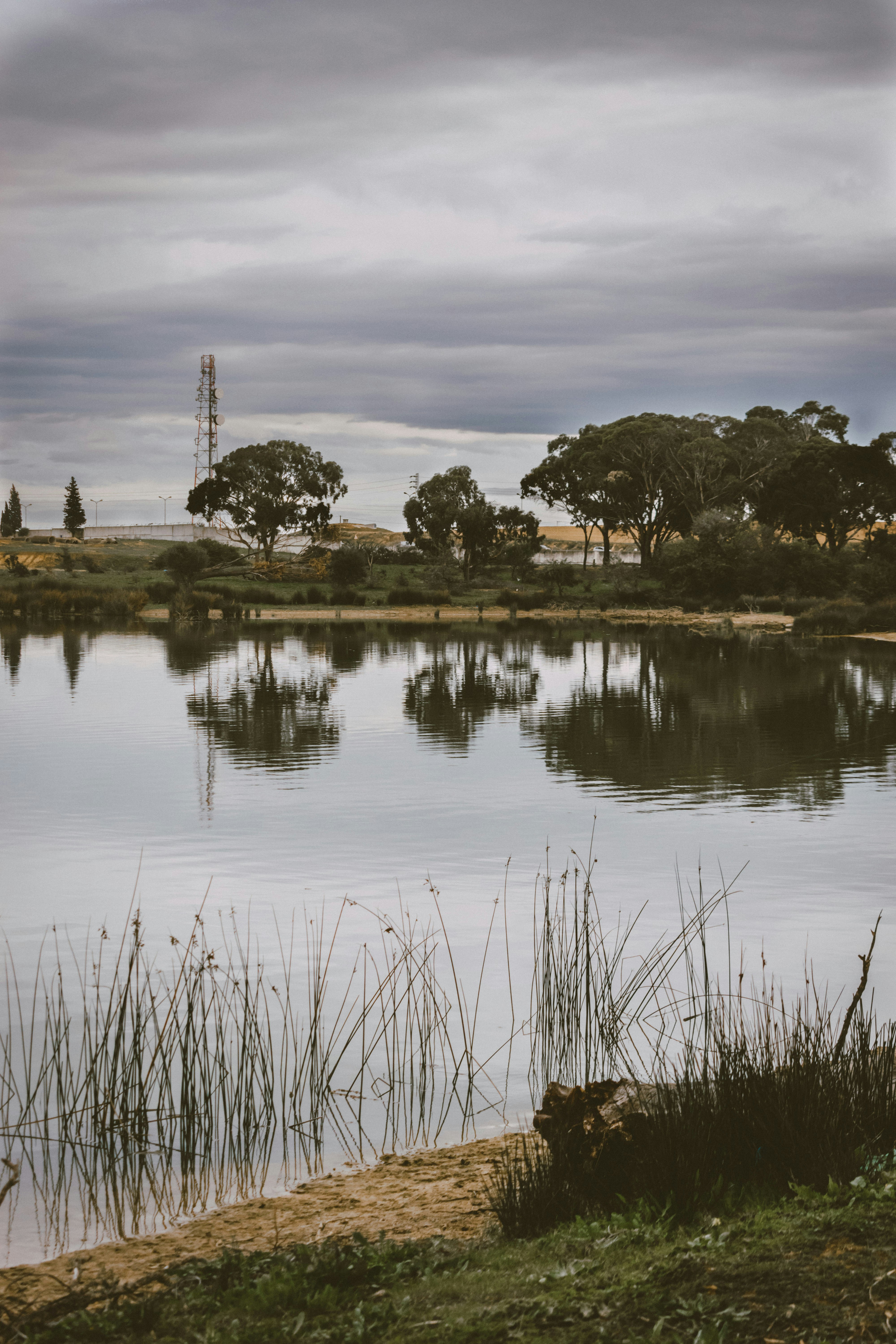 Photo by bilal_ayadi