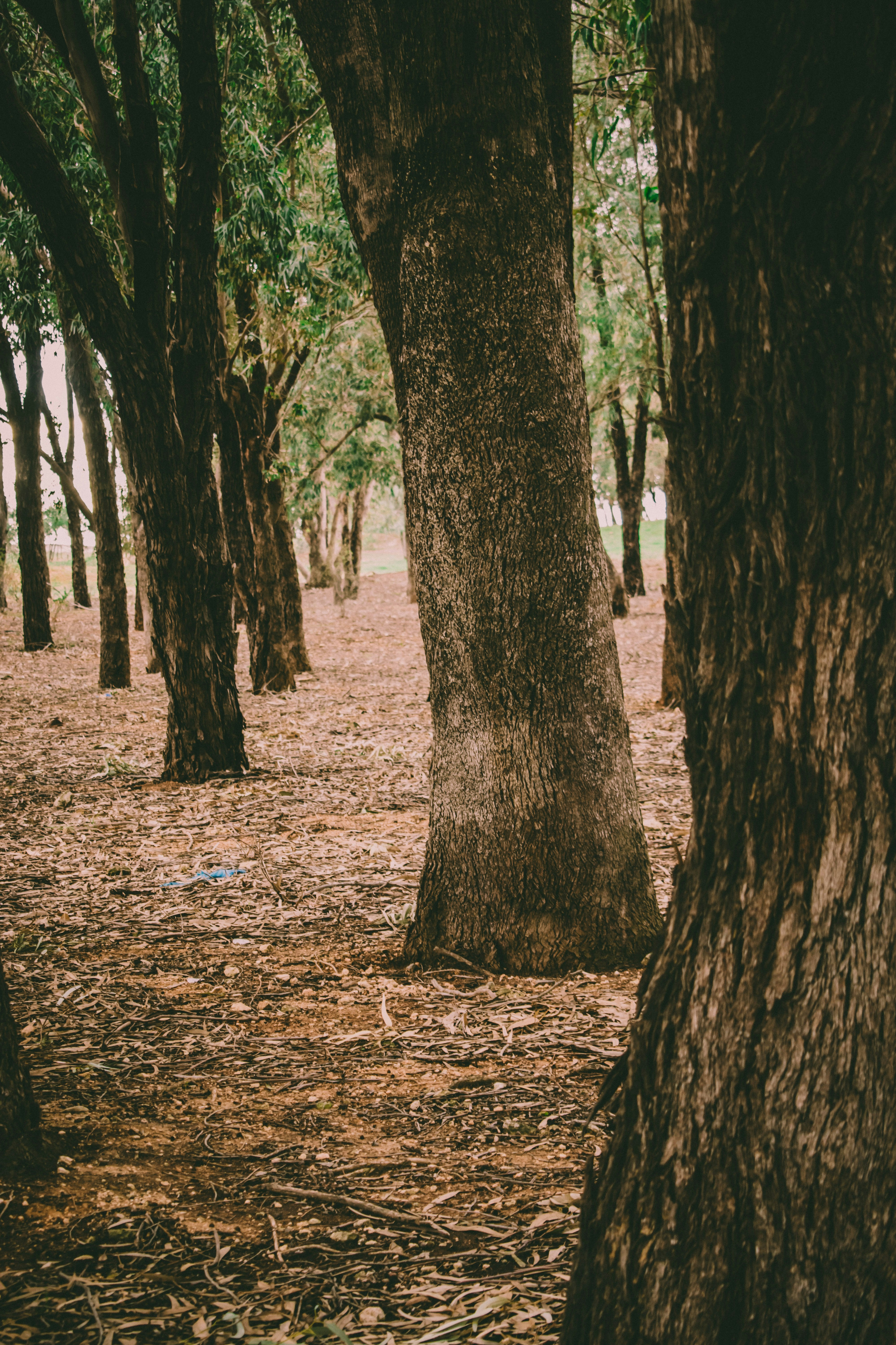 Photo by bilal_ayadi