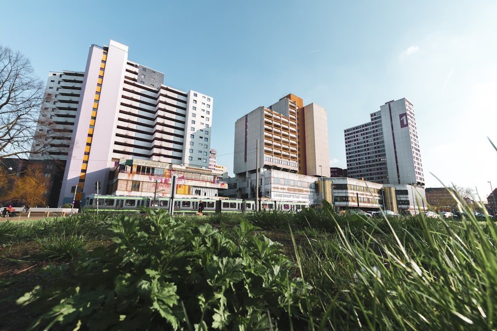 photography of buildings during daytime