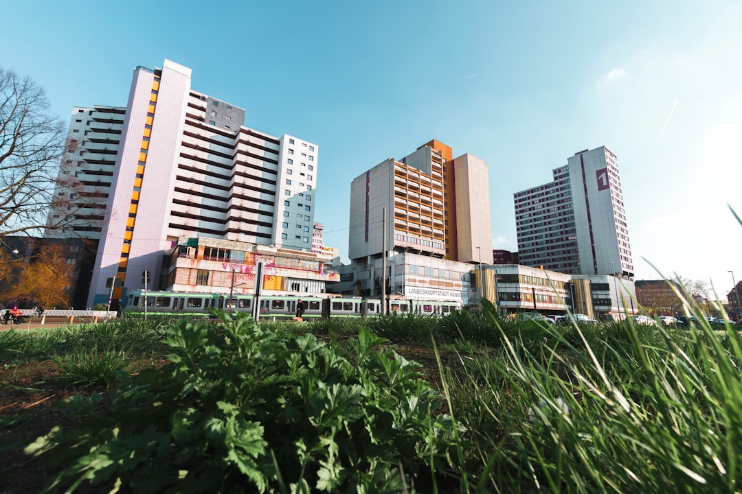 photography of buildings during daytime