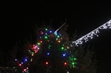 A Christmas tree adorned with colorful string lights, including red, green, blue, and white bulbs. Nearby, a strand of white icicle lights hangs prominently against the dark night sky.