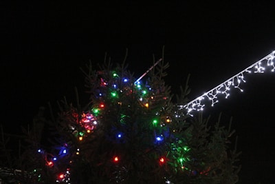 A family installing colorful Christmas lights on a house.