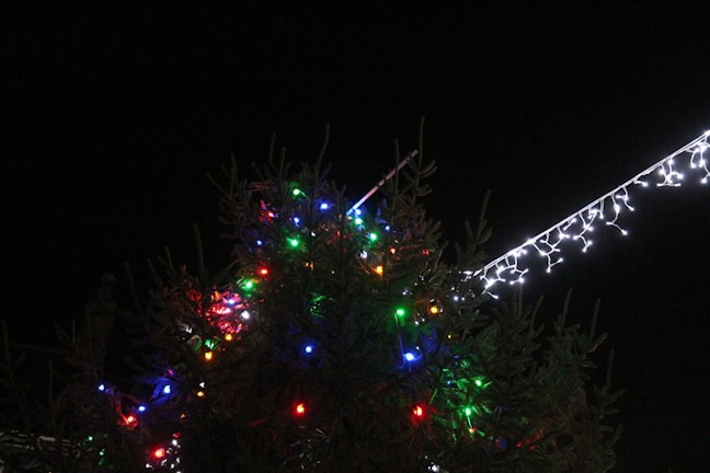 A Christmas tree adorned with colorful string lights, including red, green, blue, and white bulbs. Nearby, a strand of white icicle lights hangs prominently against the dark night sky.