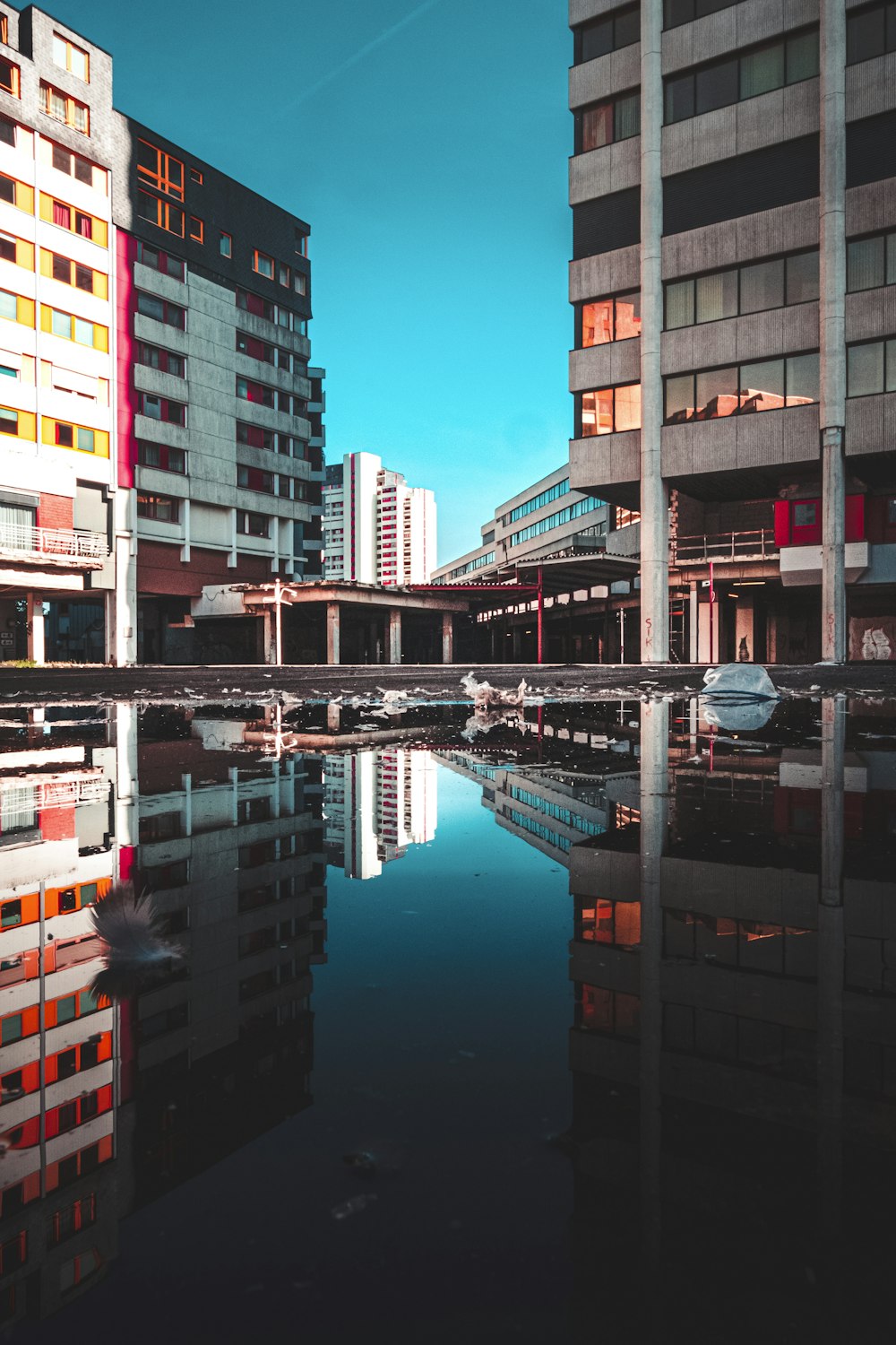 reflexão de edifícios na massa de água durante o dia