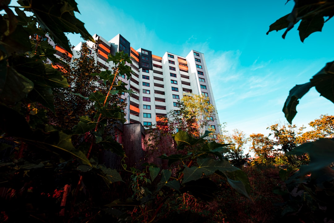 building and plants during day